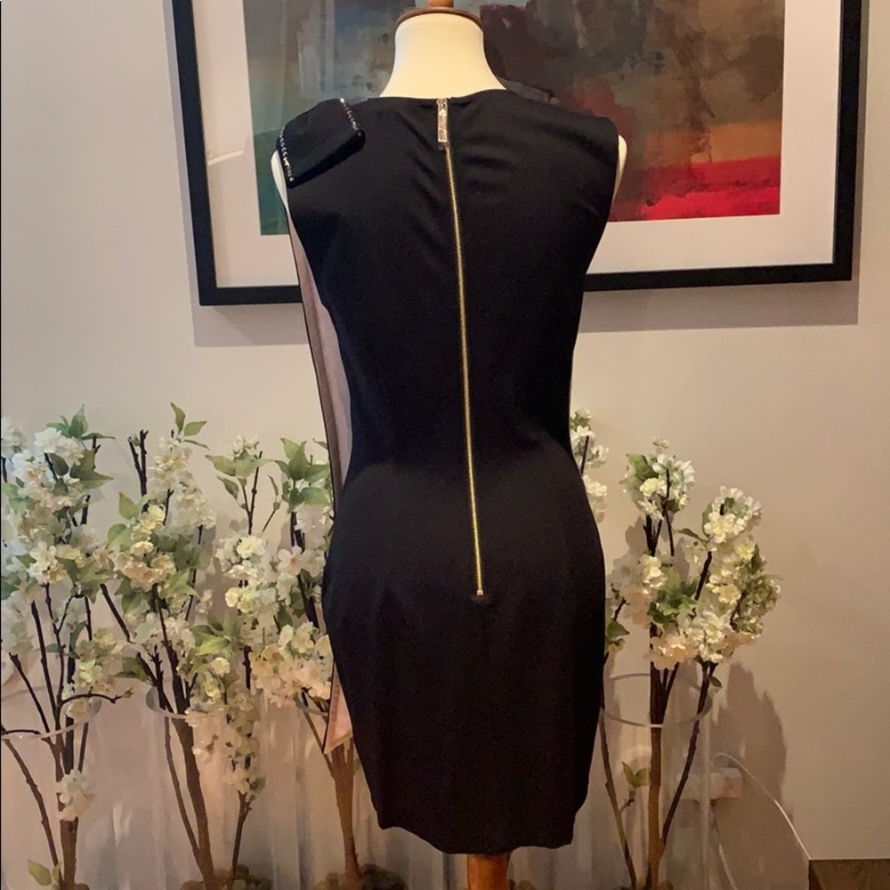 Ted Baker Dress